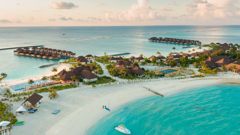 Experience Unique MALVIDES